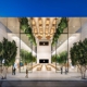 Apple The Grove