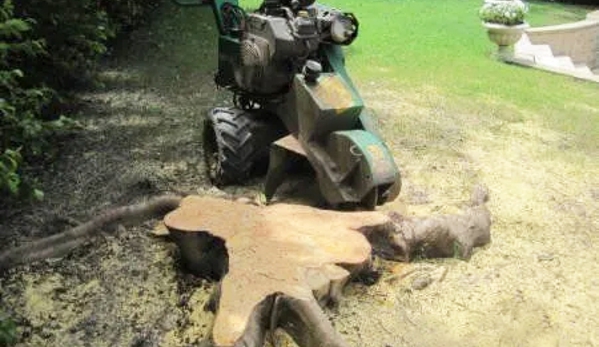 Affordable Stump Grinding - Elanora, QLD