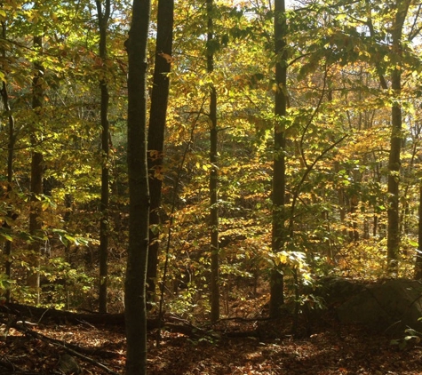 F. Gilbert Hills State forest - Foxborough, MA