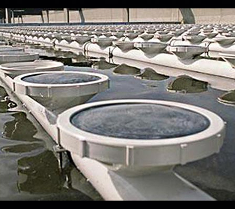 Xylem - Yarrawonga, NT
