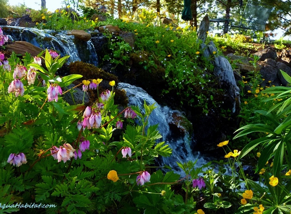 Ponds by Biologists - West Linn, OR