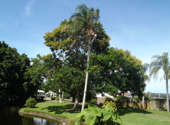 Colton's Tree Service