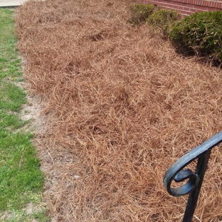 Pro Edge landscaping - Columbus, GA