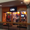 Lids gallery