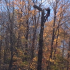 WMN Tree Removal