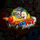 QT Pet Transport