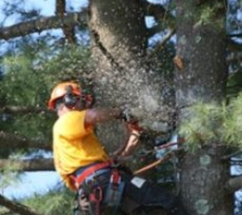 Atomic Tree Service