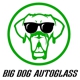 Big Dog Auto Glass