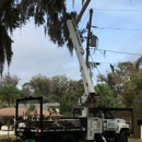 Tree Tech-Tree Service - Arborists