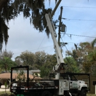 Tree Tech-Tree Service