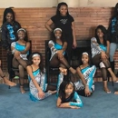 Arkansas Platinum Diamondettes - Community Organizations