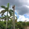 Seminole Tree Service gallery