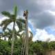 Seminole Tree Service