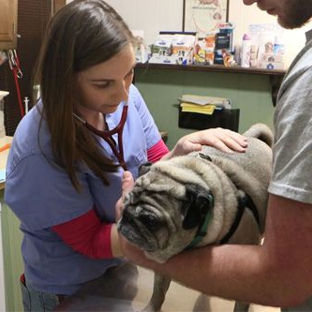 Middletown Animal Clinic - Louisville, KY