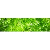 Laramie Lawnery, LLC gallery
