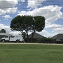 Lombard tree service - Tree Service