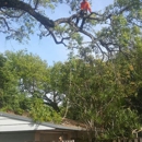 A&K Tree Service and More - Landscaping & Lawn Services