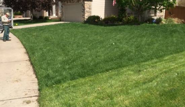 TruGreen Lawn Care - Richland Hills, TX