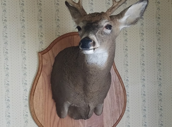 Reichard Taxidermy - Mayport, PA