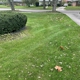 Bassett Lawncare