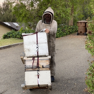 Oc Bee Guy - Anaheim, CA. Moving bee boxes