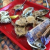 Apalachicola Seafood Grill gallery