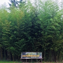 Cape May Bamboo Farms - Farms