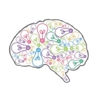Magnificent Minds Neurology Center gallery