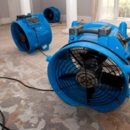 Steam Vac Carpet Cleaner - Duct Cleaning