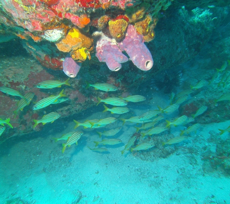 Anchor Bay Scuba Inc - Ira, MI