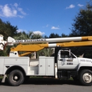 High Maintenance Tree Service - Landscape Contractors