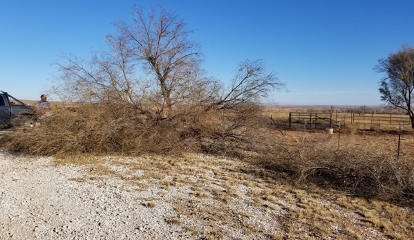 JRP Trees and Landscaping - Pampa, TX. Tree Removal in McLean Texas