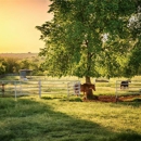 Meador Ranch & Farm - Farms
