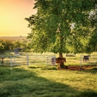 Meador Ranch & Farm