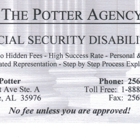 The Potter Agency