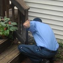 All Pro Pest Control LLC - Inspection Service