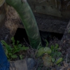 A-Abe Septic Tank Service gallery