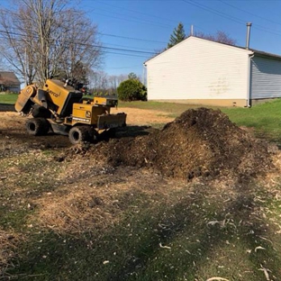 Brunty's Stump Grinding, L.L.C. - Mantua, OH