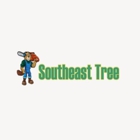 Southeast Tree