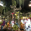 Enchanted Forest gallery