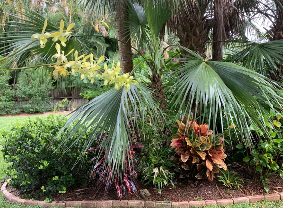 Green Door Nursery - Naples, FL