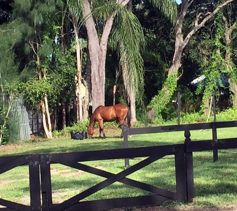 Long Lake Acres - Orlando, FL