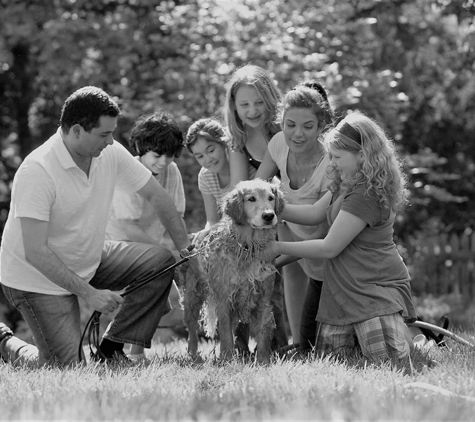 Henry Family Lawyers - Tweed Heads, NSW