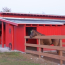 Magic Apple Ranch - Horse Training