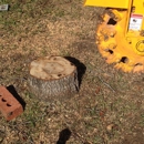 Texas Stump Cutters - Stump Removal & Grinding