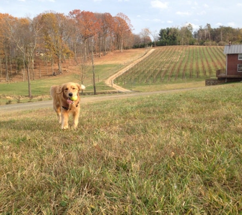 Casanel Vineyards - Leesburg, VA