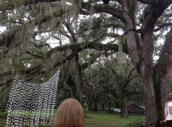 Bird Island Lake Ranch - Dade City, FL