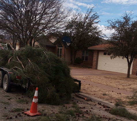 MT&S Tree Services - Lubbock, TX