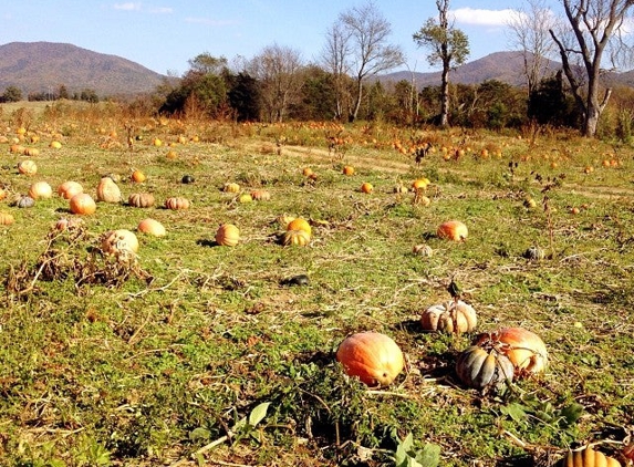 Valley Star Farm - Luray, VA