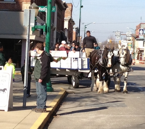 Camelot Carriage Rides - Fort Wayne, IN